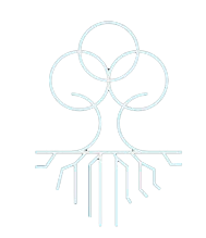 Carvalho Consultoria